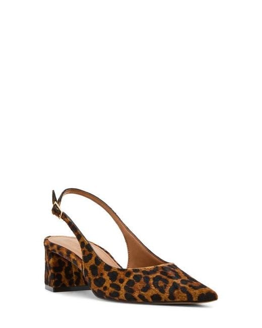 Steve Madden Brown Robyn Pointed Toe Slingback Pump
