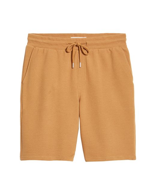 BP. Orange Ottoman Knit Drawstring Shorts In Tan Dale At Nordstrom Rack for men