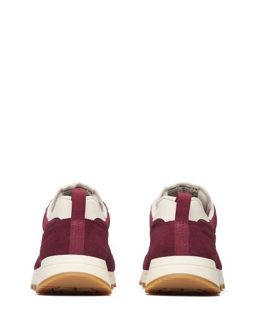 Merrell Purple Alpine 83 Sneaker for men