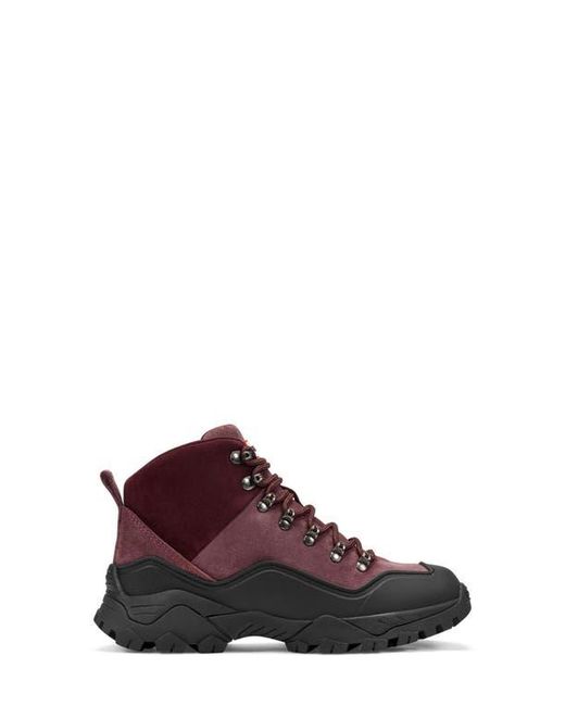 Hunter Purple Jasper Waterproof Hiker Boot