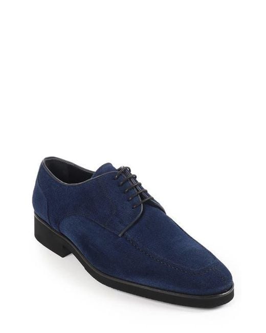 VELLAPAIS Blue Moxy Derby for men