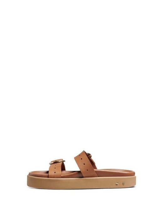 Beek Brown Warbler Platform Slide Sandal