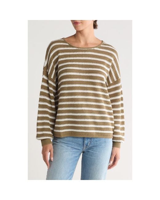 Blu Pepper Stripe Cotton Knit Sweater in Green Lyst