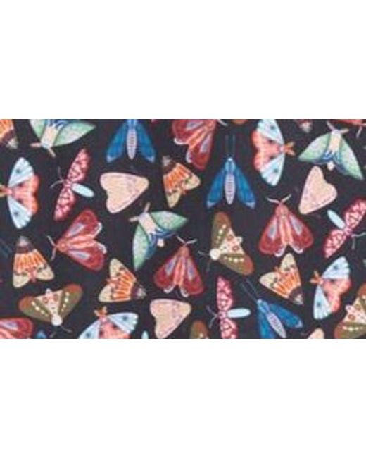 Stone Rose Blue Moth Print Button-Up Shirt for men