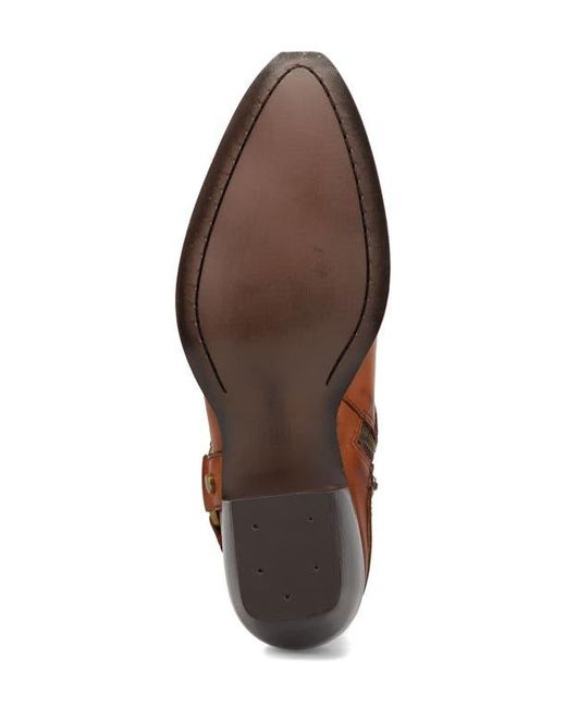 Frye Brown Sacha Harness Bootie