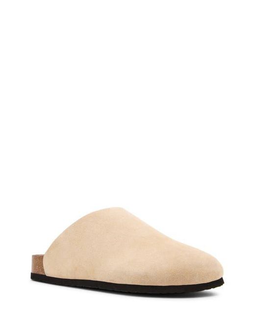 Madden Natural Cortix Clog for men