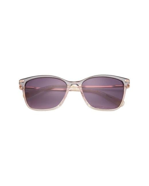 Ted Baker Purple 55Mm Gradient Square Sunglasses