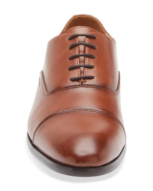 Abound Brown Harry Cap Toe Derby for men