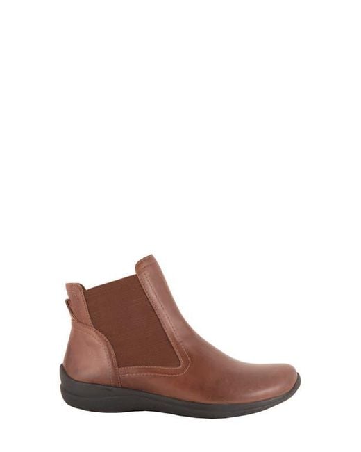 David Tate Brown Switch Waterproof Chelsea Boot