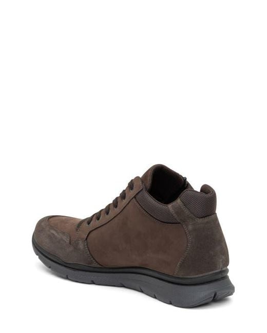 Ara Brown Braxton Waterproof Sneaker for men