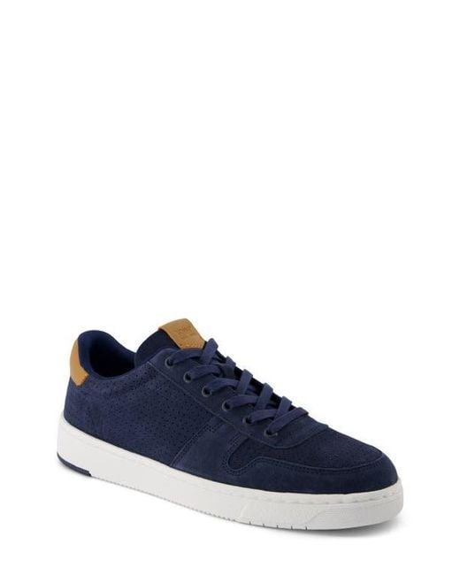 TOMS Blue Court Sneaker for men