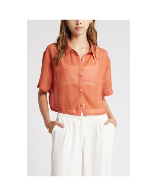 ジャケット・アウター Eaphi RANDOM BUTTON SHEER JACKET RANDOM BUTTON SHEER JACKET