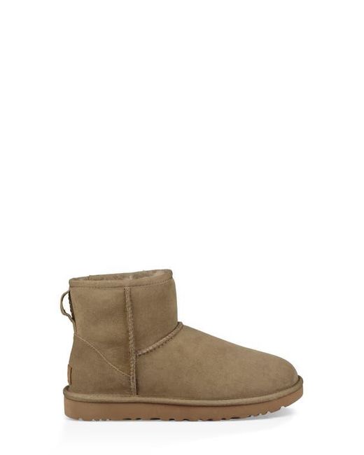 Ugg Brown Ugg Classic Mini Ii Genuine Shearling Lined Boot