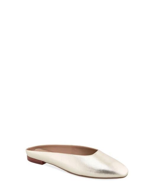 Aerosoles Multicolor Amara Mule