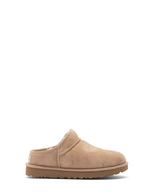 Ugg Brown Classic Slipper