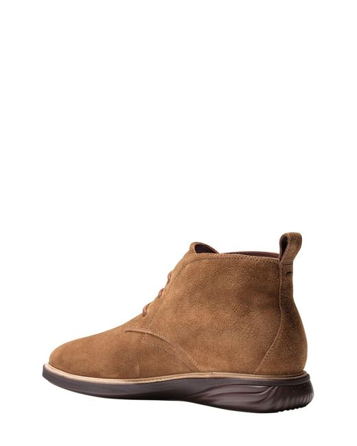 grand evolution chukka