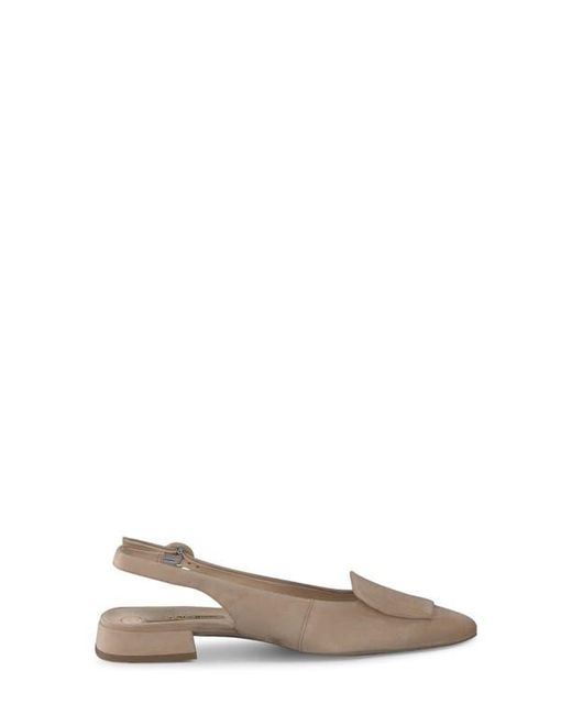 Paul Green Gray Viola Slingback Pump