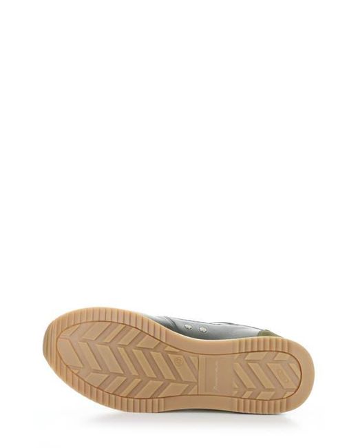 Ambitious Multicolor 11240 Perforated Sneaker for men