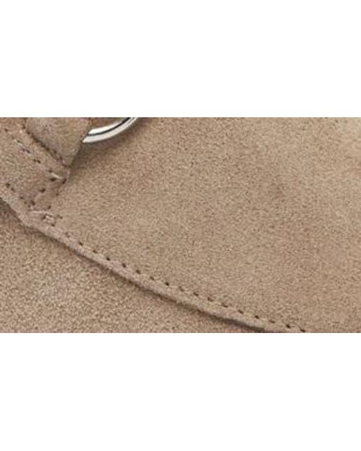 Naot Brown Halny Mule