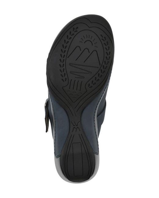 White Mountain Blue Viewed Mule