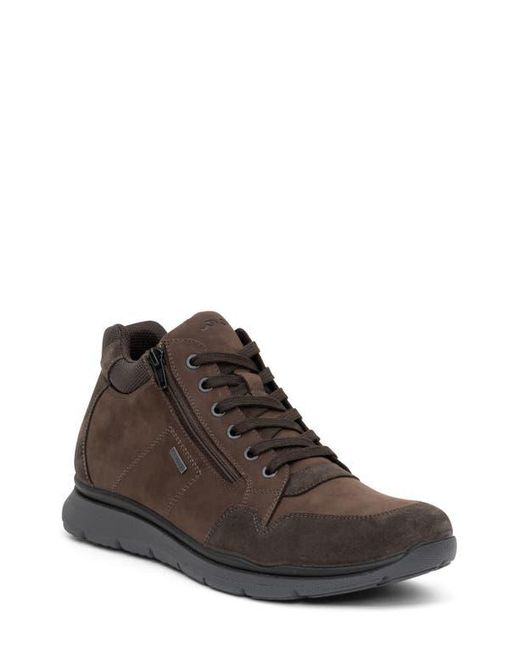 Ara Brown Braxton Waterproof Sneaker for men