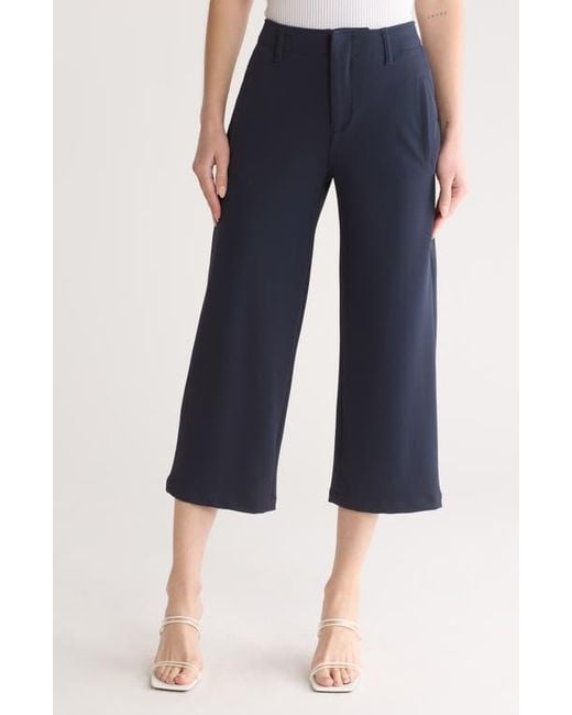 Rag & Bone Blue Dylan Cropped Pants