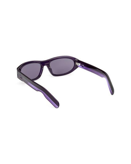 Adidas Purple Oval Sunglasses for men