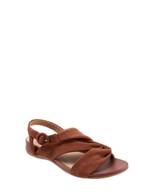 Softwalk® Brown Tieli Sandal
