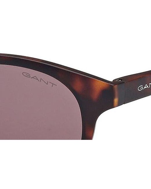 Gant Brown Oval Sunglasses for men