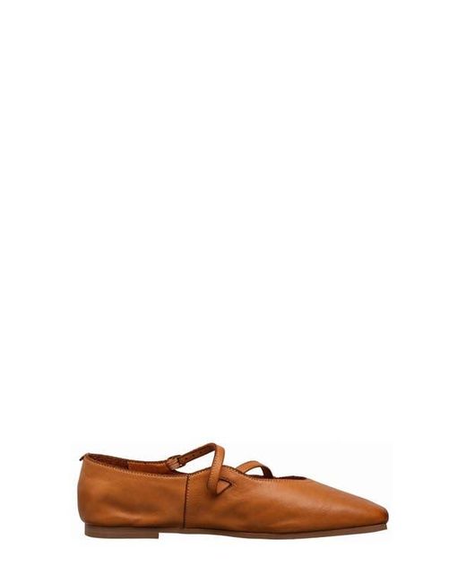 Antelope Brown Lorelei Ballet Flat