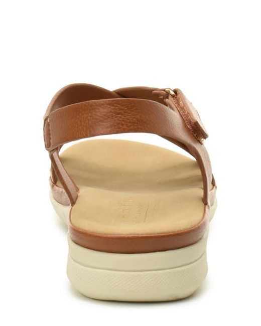 Taryn Rose Brown Lasercut Slide Sandal