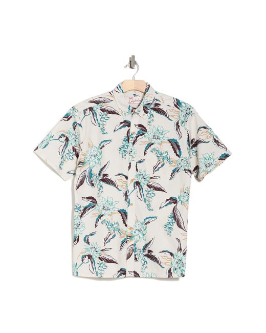Kahala Gray Cereus Bloom Floral Cotton Short Sleeve Button-down Shirt for men