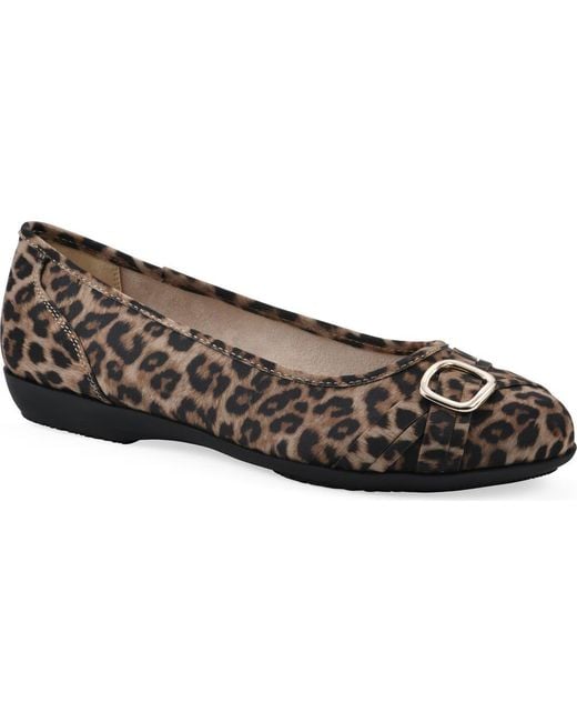 White Mountain Black Calming Buckle Strap Flat