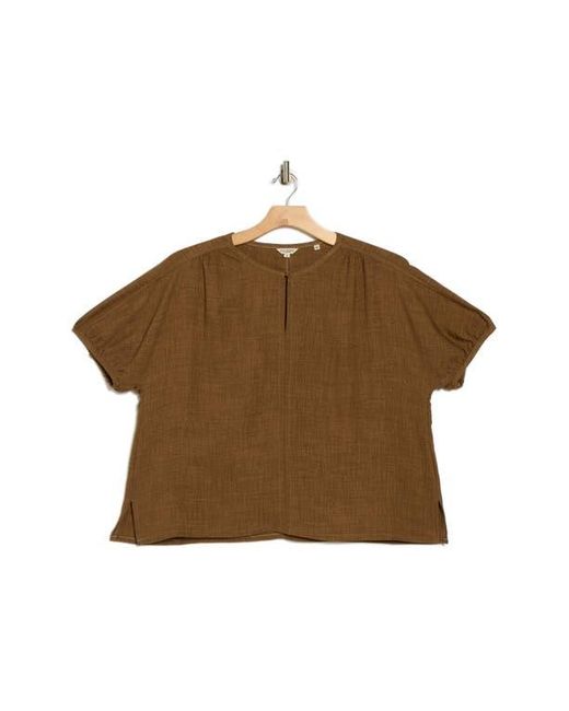 Max Studio Brown Bubble Short Sleeve Top