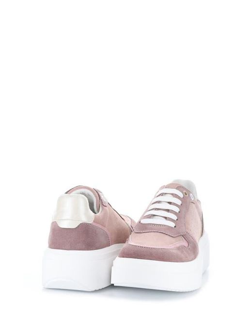 Bos. & Co. Pink Fulton Colorblock Platform Sneaker