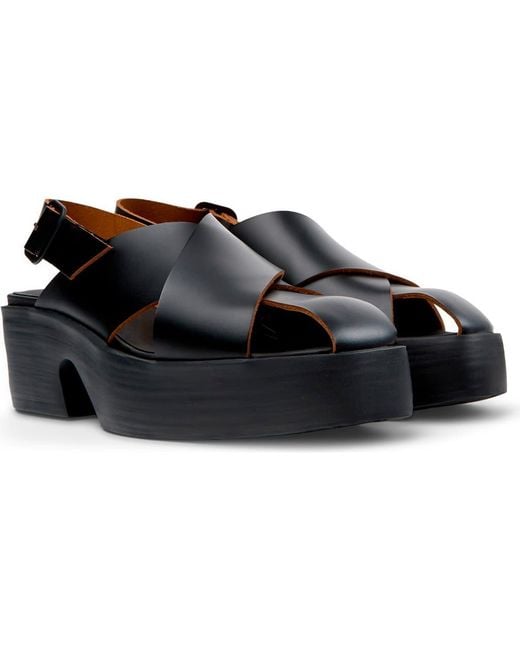 Camper Black Billie