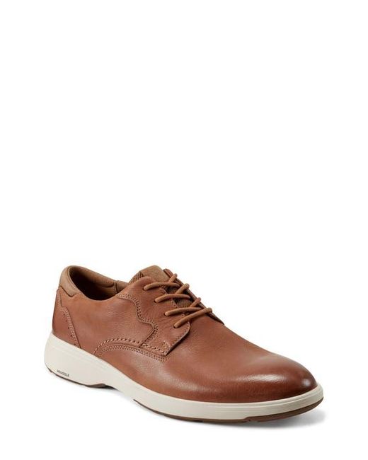 Rockport Brown Noah Plain Toe Derby for men
