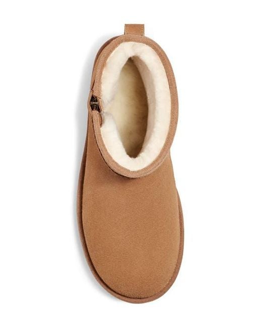 Ugg Brown Classic Mini Bailey Zip Boot