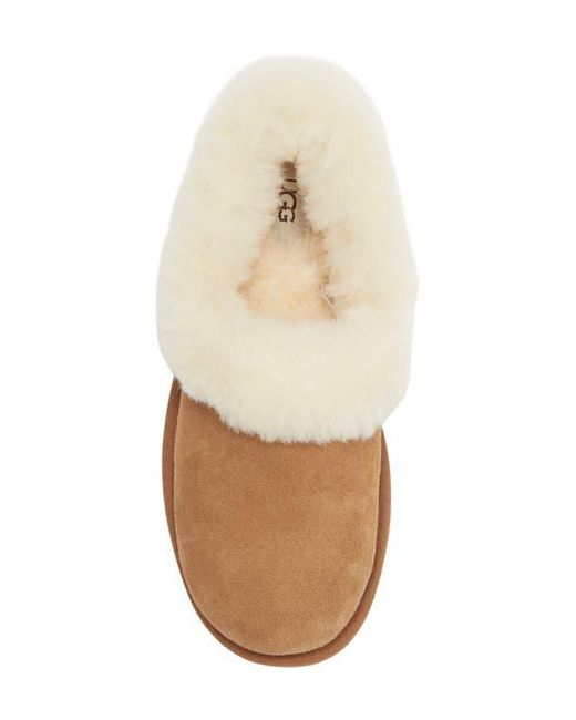 Ugg Brown Nita Uggplush Slipper