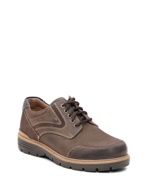 Ara Brown Allen Sneaker for men
