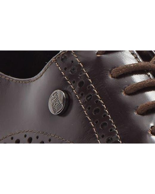 Roberto Cavalli Brown Crip Wingtip Derby for men