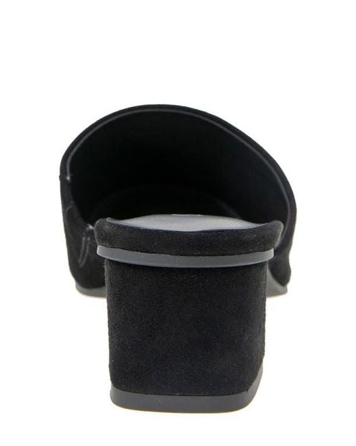 Splendid Black Laylai Pointed Toe Mule