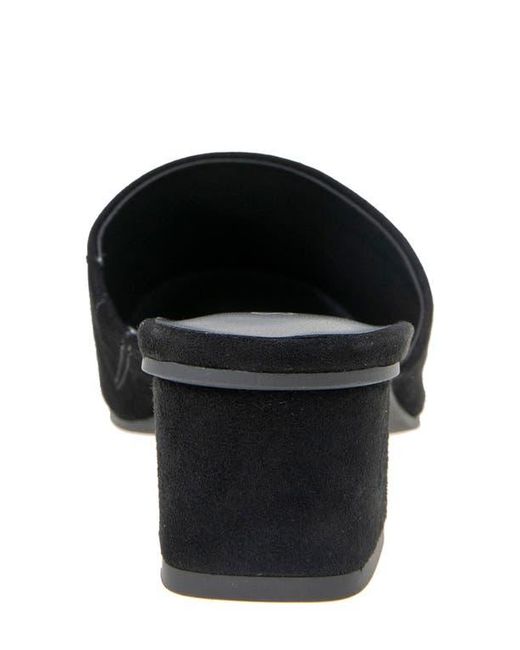 Splendid Black Laylai Pointed Toe Mule