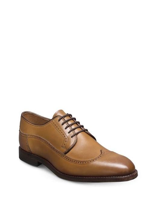 Allen Edmonds Brown Winston Wingtip Derby for men