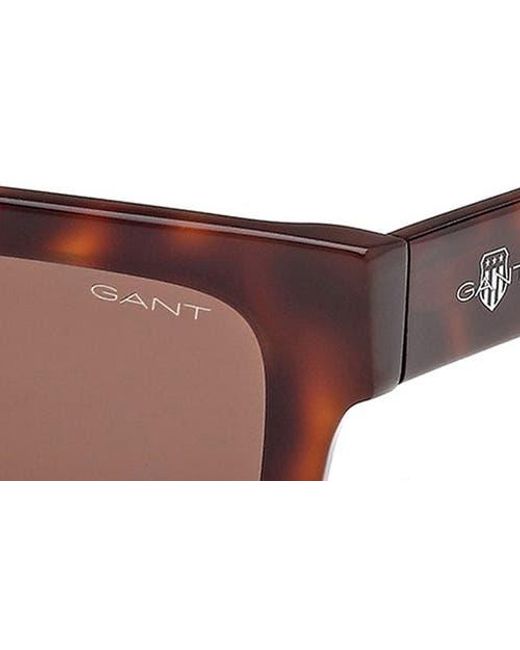 Gant Brown Rectangular Sunglasses for men