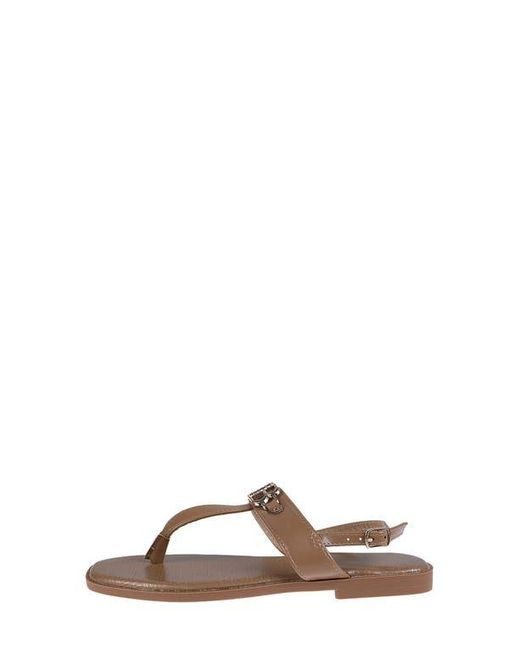 Bebe Brown Logo Toe Post Sandal