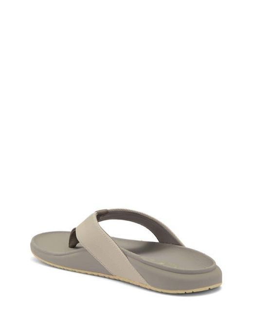 Reef Gray The Raglan Flip Flop for men