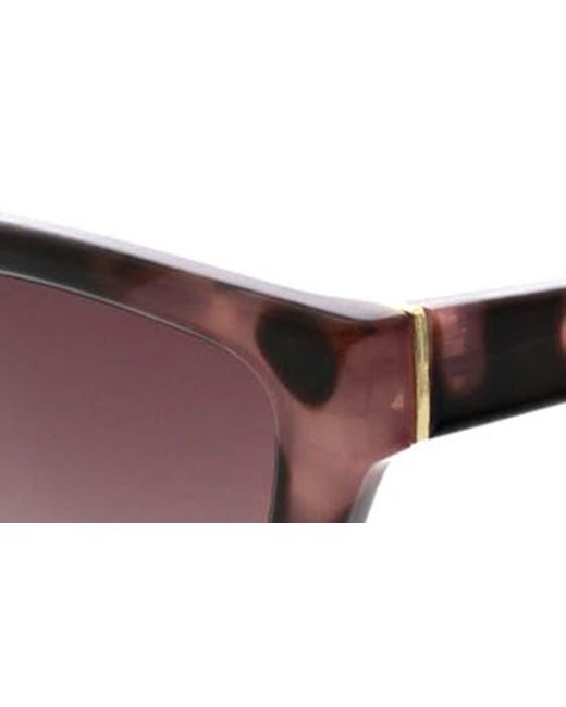 BCBGMAXAZRIA Brown 56mm Cat Eye Sunglasses