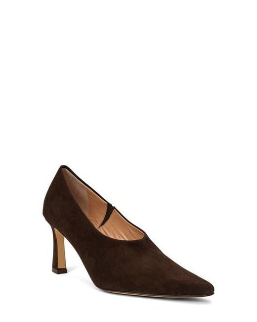 Bruno Magli Brown Athena Pointed Toe Pump