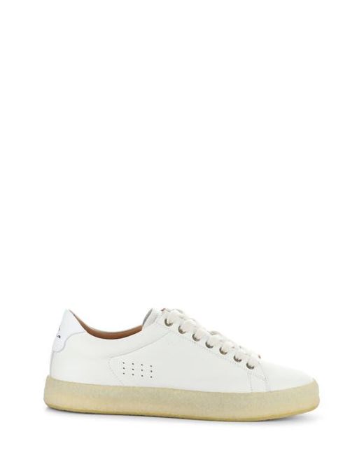 Ambitious White 13410 Low Top Sneaker for men